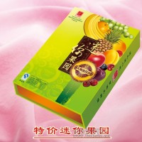 30多年經(jīng)典水果月 8個