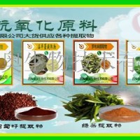 胡蘿卜粉 李子粉 甜菜粉 菠蘿粉 山竹粉 水蜜桃粉
