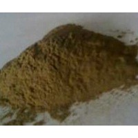 火龍果提取物