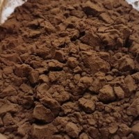 靈芝提取物 靈芝濃縮粉