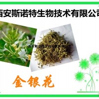 綠原酸5% 斯諾特生物 天然植萃 包郵