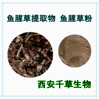 魚鱗草提取物 供應植物提取物魚鱗草濃縮浸膏