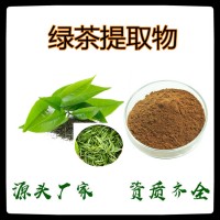 綠茶提取物 斯諾特廠家 水溶茶多酚