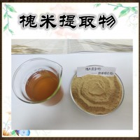 槐米提取物 精細粉末  槐米粉  蘆丁95%