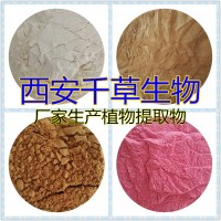 水溶性綠茶提取物綠茶粉 供應多規格植物濃縮原液