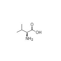 L-纈氨酸 L-α-氨基異戊酸