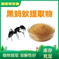 黑螞蟻提取物 10: 1 黑螞蟻粉 正規廠家供應