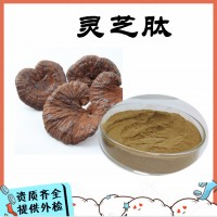 靈芝肽   赤靈芝小分子肽