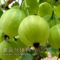 燈籠果提取物