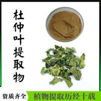 杜仲提取物  主要成分綠原酸