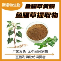 魚腥草提取物 10:1水溶性魚腥草粉 固體飲料
