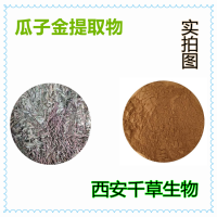 瓜子金提取物 瓜子金濃縮汁粉 瓜子金浸膏粉定制浸膏