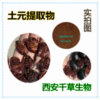 土元提取物 專業定制動植物提取物土元濃縮浸膏