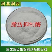 廠家直銷脂肪抑制酶使用說(shuō)明報(bào)價(jià)添加量用途