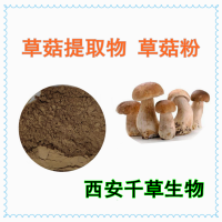 草菇提取物草菇濃縮汁粉 供應菌菇濃縮浸膏菌菇顆粒