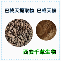 巴戟天提取物水溶粉 定做植物浸膏菌菇浸膏