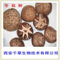 冬菇提取物粉 冬菇濃縮粉 供應動植物提取物冬菇濃縮浸膏