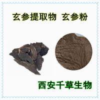 玄參浸膏粉供應(yīng)植物提取物玄參水溶粉 定做植物浸膏菌菇浸膏