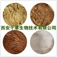 黑棗提取物 黑棗濃縮粉 黑棗水溶粉 黑棗烘焙干燥水溶粉