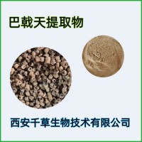 巴戟天提取物 供應(yīng)植物提取物菌菇浸膏