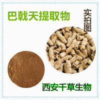 巴戟天提取物巴戟天濃縮浸膏 定做植物浸膏菌菇浸膏