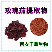 玫瑰茄提取物 定制玫瑰茄濃縮粉玫瑰茄浸膏