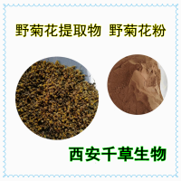野菊花濃縮粉 供應(yīng)植物提取物定做野菊濃縮浸膏