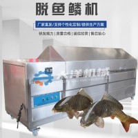 電動脫魚鱗機供貨商 不銹鋼鮮魚去鱗設備 刀魚清洗機械