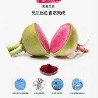 蘿卜紅radish red食品色素 蜜餞類 果凍 果味飲料