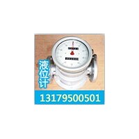 橢圓齒輪流量計專業生產廠家