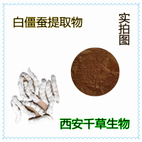 僵蟲提取物 供應動植物提取物定做白僵蠶濃縮汁粉