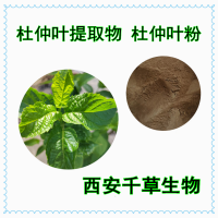 杜仲葉提取物定做杜仲葉提取物杜仲葉水溶粉