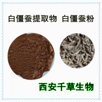 水溶性僵蠶提取物粉 供應僵蠶濃縮浸膏僵蠶粉