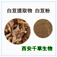 白芨提取物 供應植物提取物 定做植物流浸膏