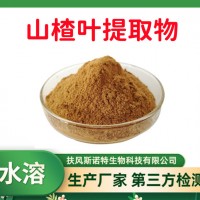 山楂葉提取物 高含量山楂黃酮 水溶食品原料