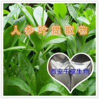 人參葉浸膏粉 供應水溶性植物提取物 定做人參葉流浸膏