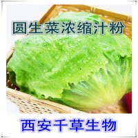 圓生菜提取物粉圓生菜濃縮汁粉植物提取物 定做浸膏