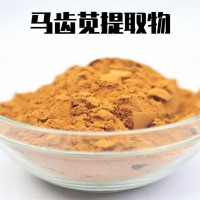 馬齒筧提取物 速溶馬齒莧粉 高濃度 植物萃取
