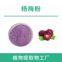 楊梅粉 楊梅汁粉 果蔬粉 廠家供應
