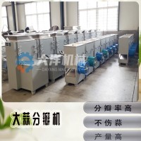 大蒜分瓣機 全自動大蒜破瓣機 專業蒜頭剝瓣設備