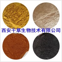 土藿香提取物土藿香濃縮粉 西安千草供應土藿香浸膏粉