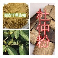 杜仲提取物全水溶廠家生產(chǎn)提取物 定做濃縮浸膏