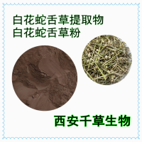 白花蛇舌草浸膏粉 供應水溶性植物提取物定做各類濃縮浸膏