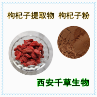 枸杞子濃縮浸膏 定做植物流浸膏