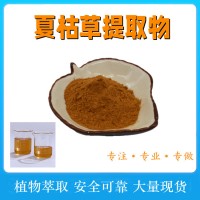 夏枯草提取物 植物萃取濃縮 食品原料粉