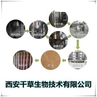 自扣草提取物 定制濃縮烘焙干燥性味濃郁