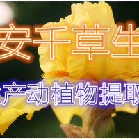 蛇針草提取物供應(yīng)動(dòng)植物提取物濃縮汁粉