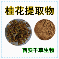 桂花濃縮粉 廠家供應植物提取物定做濃縮浸膏