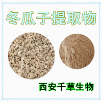 水溶性冬瓜仁提取物冬瓜仁浸膏粉 供應(yīng)多規(guī)格冬瓜仁濃縮純液