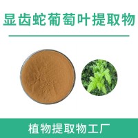 顯齒蛇葡萄葉粉 顯齒蛇葡萄葉提取物 水溶性粉末